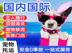 静巴机场货运国际宠物托运 【国